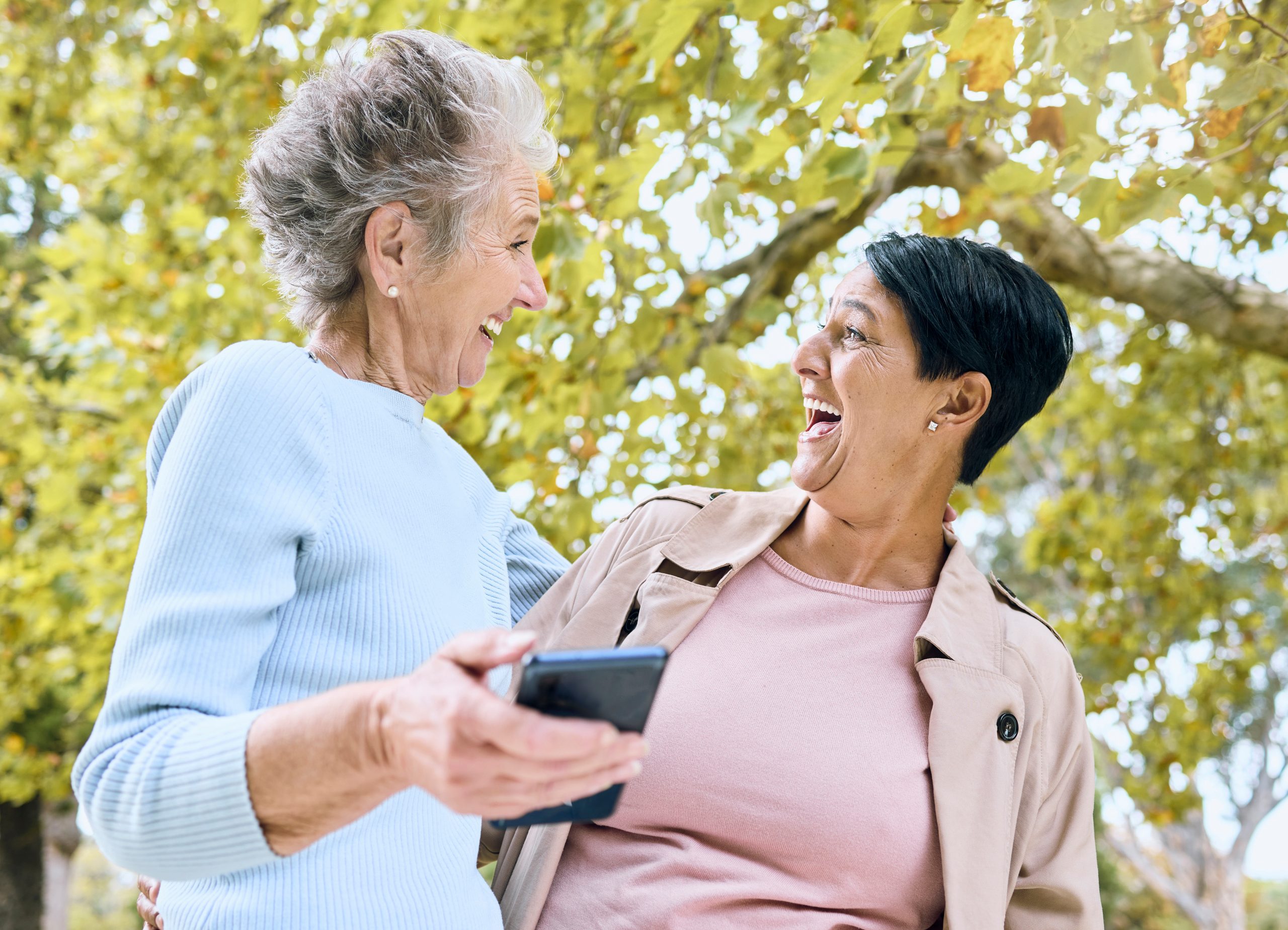 Senior women, laughing or phone meme in nature park, garden or relax environment in retirement, sup.